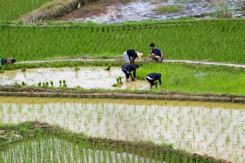 通渝新闻资讯_网站建设